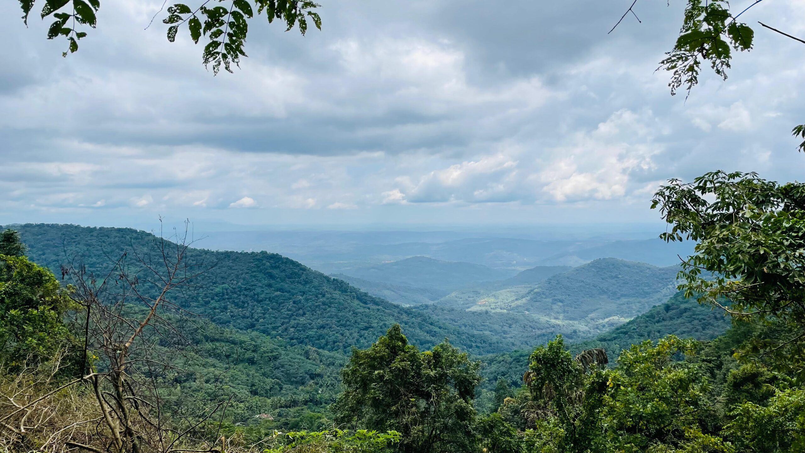 Hidden Hill Stations of Kannur: Nature’s Best-Kept Secrets