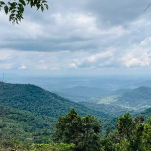 Hidden Hill Stations of Kannur: Nature’s Best-Kept Secrets